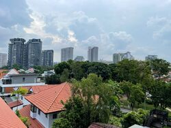 Holland Grove Terrace (D10), Semi-Detached #557166271